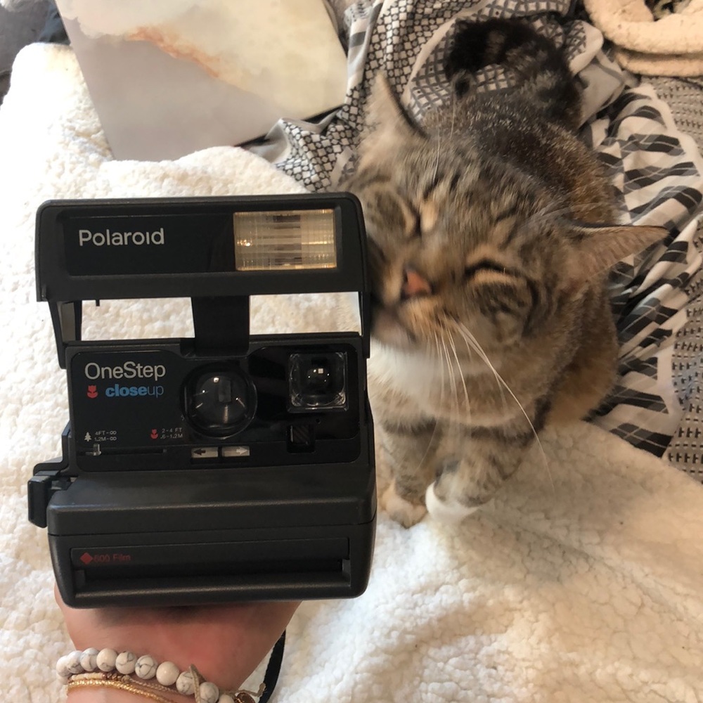 Vintage Polaroid